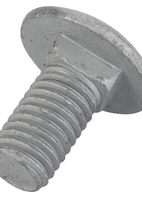 AGCO | Round Head Square Neck Carriage Bolt - Acw0997830 - Farming Parts