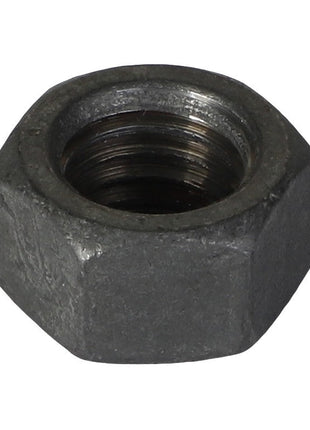 AGCO | HEX NUT - AG562538