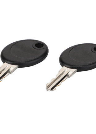 Two identical AGCO | Key - Acp0556020 silver keys with black rounded plastic tops are laid side by side on a white background, reminiscent of precision machinery from Valtra.