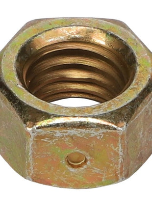 AGCO | HEX LOCKNUT - AG559253