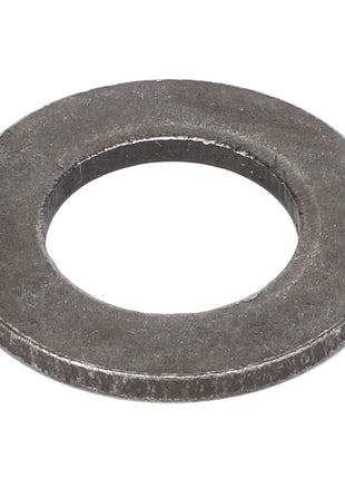 AGCO | FLAT WASHER - AG604203