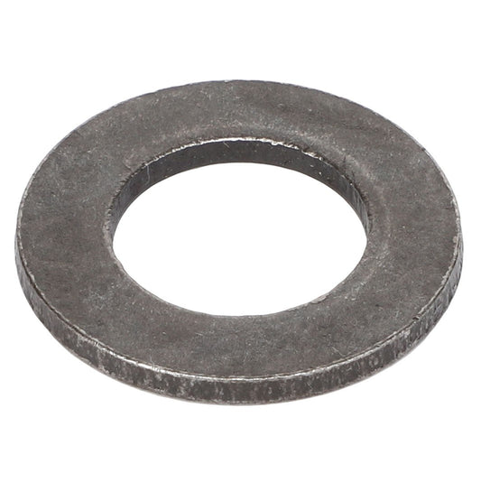 AGCO | FLAT WASHER - AG604203