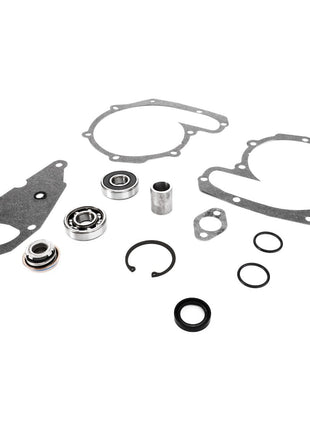 A collection of mechanical parts including gaskets, bearings, seals, and a clip from the AGCO Water Pump Repair Kit - V836316441, arranged on a white background. No current product description available for this item.