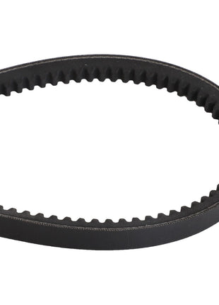 Close-up of an AGCO V BELT - D41991000, featuring a black toothed timing belt loop on a white background.