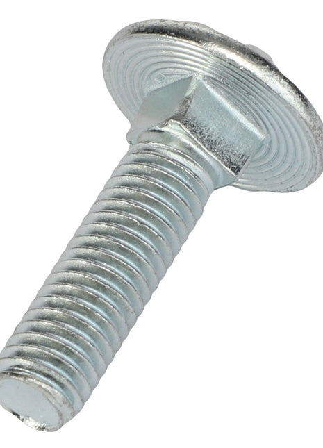 A close-up view of an AGCO Screw - Acp0293430, featuring a flat, rounded head and threaded shaft.