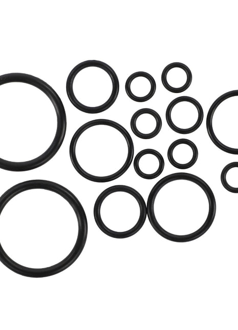 AGCO | Seal Kit - Acp0484050 - Farming Parts