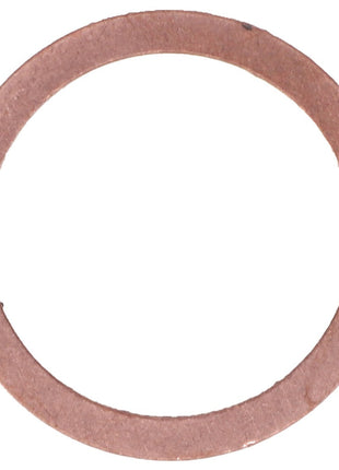 Product Description: The AGCO | Gasket - B168, by AGCO, is a thin, circular, brown gasket featuring a smooth surface and uniform flat shape.