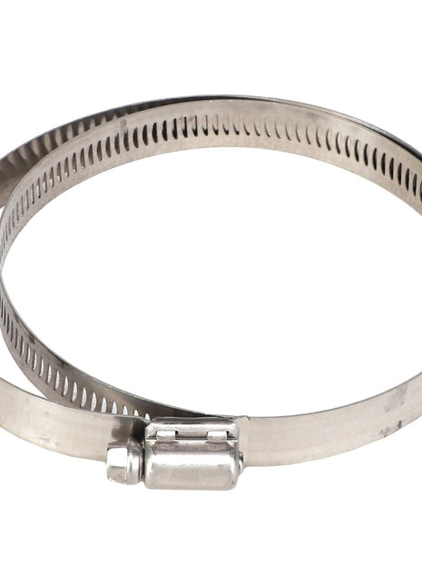 A close-up view against a white background reveals the AGCO HOSE CLAMP - AG561254, a stainless steel clamp featuring a screw mechanism designed to secure hoses and tubing. Despite the lack of current product description information, this tool epitomizes precision and reliability.