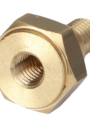 AGCO | - F934201180060, a brass hexagonal bolt with a threaded hole in the center, designed for attaching other threaded components. No additional information available.