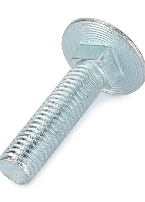 A AGCO Round Head Square Neck Carriage Bolt - Va020625, featuring a flat, rounded head and a threaded body, positioned diagonally with the head on the upper right and the threaded end on the lower left. No current product description available for further details.