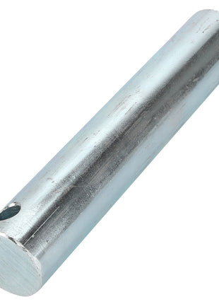 AGCO | Pin - Acp0100660 - Farming Parts