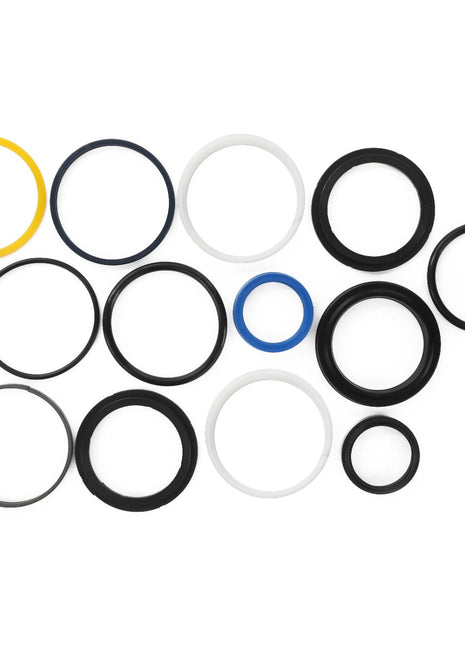 The AGCO | SEALS KIT - AL5036154 features meticulously arranged rubber O-rings in various sizes and colors, including black, yellow, blue, and white, set against a pristine white background.