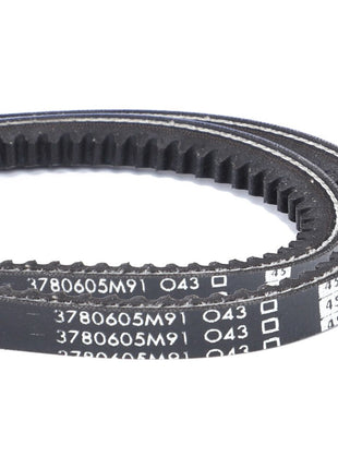 AGCO | V-Belt, Sold As A Matched Pair - 3780605M91 - Massey Tractor Parts