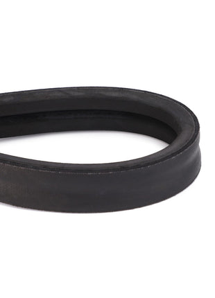 Close-up of a Genuine AGCO Drive Belt, specifically the Straw Chopper Drive - D41978900, commonly used in machinery and automotive applications. The black rubber belt is looped into a flexible, continuous circle, ensuring optimal performance by minimizing noise and slippage.