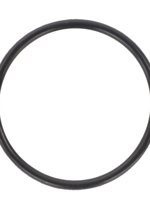 AGCO | O-Ring, Steering Cylinder - 1884795M1 - Massey Tractor Parts