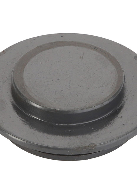 The AGCO CIRCLIP - ACY1100340 is a gray, circular, flat metal object featuring a raised center and a slightly beveled edge. Unfortunately, there is no current product description information available.