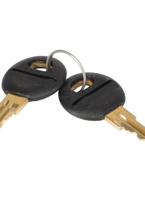 Two AGCO Cab Door Keys with black plastic heads, joined together by a metal ring. No current product description available.