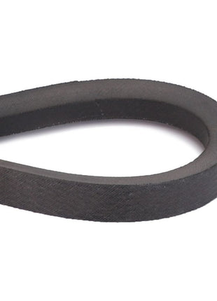 AGCO | Drive Belt, Beater - D41982100 - Massey Tractor Parts
