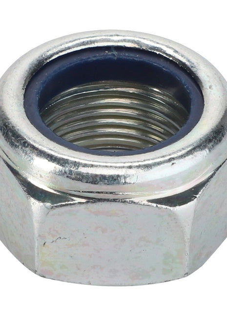 AGCO | Hex Locknut - F350300020020 - Farming Parts