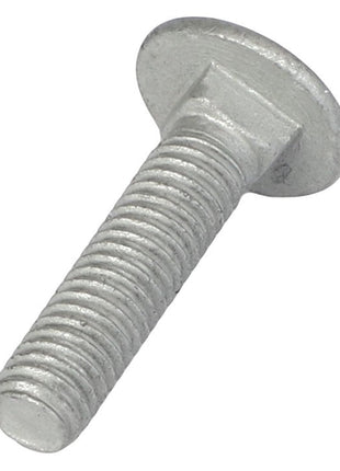 A threaded metal bolt with a flat, round head, specifically the AGCO Round Head Square Neck Carriage Bolt - Acw1059390, lies on a white background.