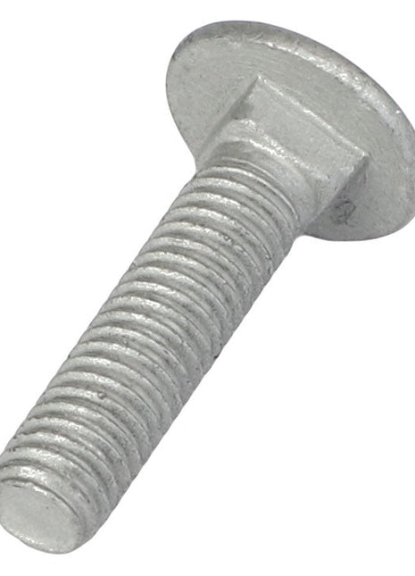 A threaded metal bolt with a flat, round head, specifically the AGCO Round Head Square Neck Carriage Bolt - Acw1059390, lies on a white background.