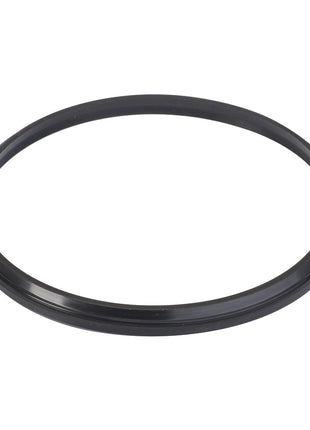 AGCO | Seal, Countershaft - D45402400