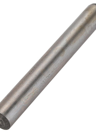 A cylindrical metal rod with a smooth surface and rounded ends, depicted against a white background. The product is named AGCO | PIN - D42696400 from the brand AGCO.