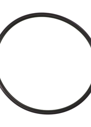 No current product description available for the AGCO | Sealing Washer - Acp0353390, a black circular rubber O-ring against a white background.