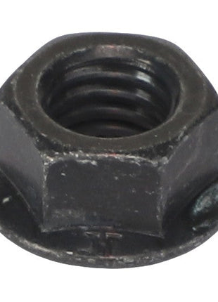 Close-up of the AGCO | NUT - AG330818, featuring a threaded interior and flat base, designed for fastening purposes. No current product description information is available.