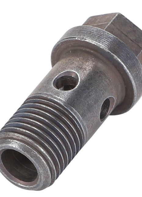 The AGCO | Banjo Bolt - F100002231136 is a metal threaded hydraulic component featuring multiple holes, efficiently designed to connect fluid lines.