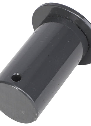 AGCO | PIVOT PIN - AG200557