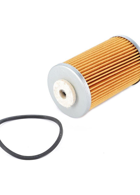 Fuel Filter - V836007790 - Massey Tractor Parts