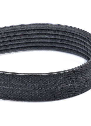 AGCO | Serpentine Belt, Kit With Accessories - Acp0250350 - Farming Parts