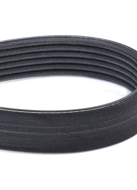 AGCO | Serpentine Belt, Kit With Accessories - Acp0250350 - Farming Parts