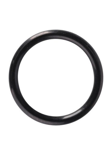 AGCO | O-Ring - 70921205 - Massey Tractor Parts