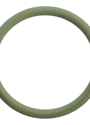 A straightforward, green circular ring from AGCO (O-Ring Seal - F530200710120) stands out on a crisp white background.