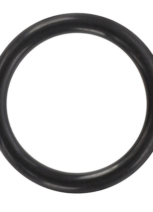 A pristine AGCO O-ring (model AG425752) in black rubber rests against a stark white background, highlighting its clean and simple design.