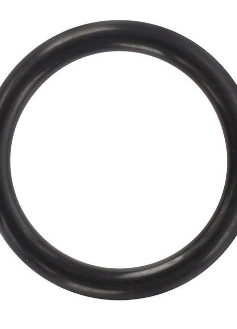 A pristine AGCO O-ring (model AG425752) in black rubber rests against a stark white background, highlighting its clean and simple design.