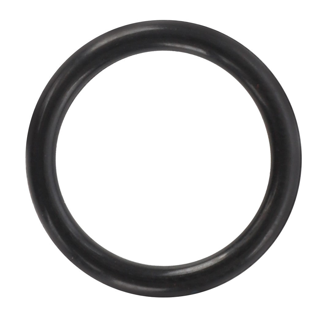 A pristine AGCO O-ring (model AG425752) in black rubber rests against a stark white background, highlighting its clean and simple design.