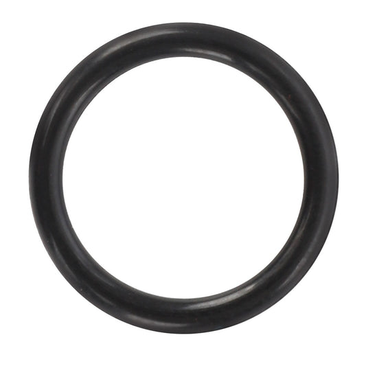 A pristine AGCO O-ring (model AG425752) in black rubber rests against a stark white background, highlighting its clean and simple design.