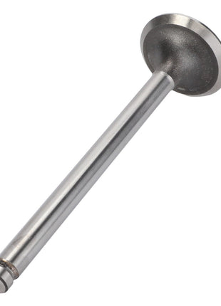 AGCO's Exhaust Valve - 737640M1 features a flat, rounded head and a long, cylindrical stem, making it compatible with AGCO Engine Valves.