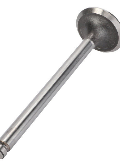 AGCO's Exhaust Valve - 737640M1 features a flat, rounded head and a long, cylindrical stem, making it compatible with AGCO Engine Valves.