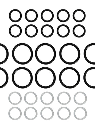 A collection of AGCO SEAL KIT Control Valve O-rings arranged in a pattern, featuring larger black rings centrally positioned and smaller white rings at the bottom. No current product description information is available.