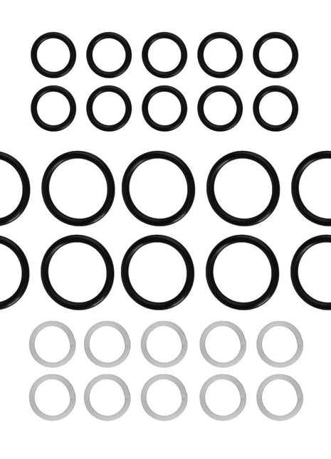 A collection of AGCO SEAL KIT Control Valve O-rings arranged in a pattern, featuring larger black rings centrally positioned and smaller white rings at the bottom. No current product description information is available.