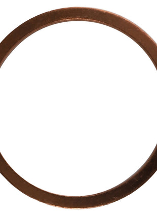 AGCO | Washer - 1118801 - Farming Parts