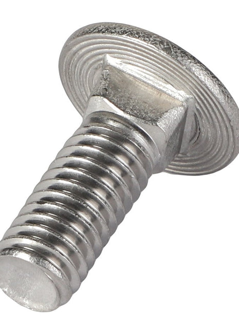 Close-up of the AGCO | CARRIAGE BOLT - AG726750, featuring a round flat head and threaded shaft, positioned against a white background.