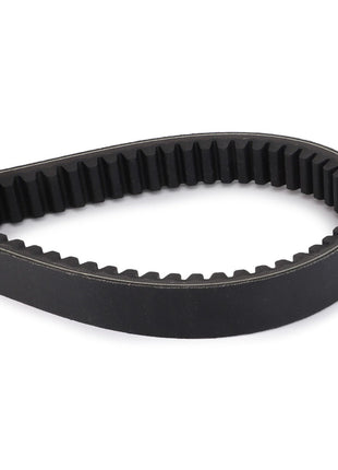 The AGCO Drive V Belt, Variator - D26746996 by AGCO features a black rubber construction with evenly spaced teeth arranged in a loop shape to ensure optimal performance and noise reduction.