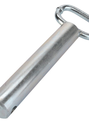 AGCO | Pin - Acp0029260 - Farming Parts