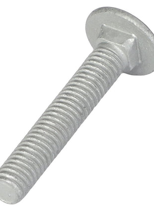 A close-up view of the AGCO Round Head Square Neck Carriage Bolt - Acw1513550 showcases its glistening silver finish, smooth round head, and intricately threaded shaft.