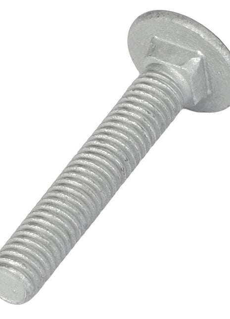 A close-up view of the AGCO Round Head Square Neck Carriage Bolt - Acw1513550 showcases its glistening silver finish, smooth round head, and intricately threaded shaft.